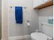 Clean bathroom with a white toilet and a blue towel hanging on a towel rack at 7172 S Vine Cir, Centennial, CO 80122