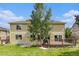 The backyard with a wooden deck features green grass and a large tree, making it ideal for outdoor activities at 9346 Lark Sparrow Dr, Highlands Ranch, CO 80126