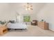 Large, well-lit main bedroom featuring neutral walls, carpet floors and many windows at 9346 Lark Sparrow Dr, Highlands Ranch, CO 80126