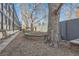 Landscaped backyard featuring mature trees, planter beds, and seating at 1050 N Corona St # 308, Denver, CO 80218