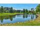 Scenic pond surrounded by trees, grass, and shrubbery, offering a peaceful setting for residents at 13631 E Marina Dr # 502, Aurora, CO 80014