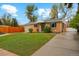 Inviting brick house featuring a green lawn and a concrete driveway at 5930 W 34Th Ave, Wheat Ridge, CO 80212
