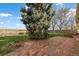 Spacious backyard with lush lawn and brick patio perfect for outdoor entertaining at 814 Glenwood Dr, Lafayette, CO 80026