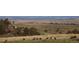 Panoramic view of lush land with some wild turkeys grazing in the yard at 6275 Ponderosa Way, Parker, CO 80134