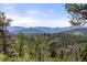 Scenic view of green tree landscape with mountains in the background under a clear blue sky at 28890 Pinewood Vista Dr, Evergreen, CO 80439