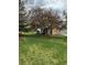 Large backyard featuring a mature tree, lush green grass, and outdoor seating area at 8503 E Jamison Ave, Centennial, CO 80112