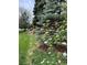 Well maintained lawn with mature trees and flowering bushes at 8503 E Jamison Ave, Centennial, CO 80112