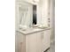 Bathroom features a vessel sink, hardwood cabinets, and a large mirror at 3198 Blake St # 502, Denver, CO 80205