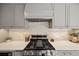 Close-up view of the stainless steel range and hood with gray cabinets, offering a chef-inspired cooking experience at 1380 Magnolia St, Denver, CO 80220