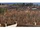 Mountain views from the property at 1975 Wild Star Way, Castle Rock, CO 80104