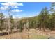 View of the serene backyard, surrounded by trees and greenery, a tranquil, natural setting at 13609 Elsie Rd, Conifer, CO 80433