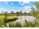 Exterior shot of a pond in a park with tall grass, bushes and trees around it at 707 Uvalda St, Aurora, CO 80011