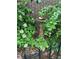 Charming garden with a bird bath surrounded by vibrant plants and flowers at 6917 E Girard Ave, Denver, CO 80224