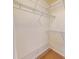 Walk-in closet featuring wire shelving and carpeted floors at 553 Hanging Rock Pl, Castle Rock, CO 80108