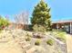 Landscaped backyard with a towering evergreen tree, stone pathways, and a variety of plants, creating a peaceful outdoor oasis at 1965 Havana St, Aurora, CO 80010
