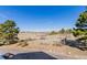 Expansive backyard and view including trees, pasture, and blue skies on a sunny day at 2257 Deerpath Rd, Franktown, CO 80116