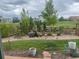 Green backyard featuring a waterfall and pond feature, garden, and spacious lawn at 7186 Weaver Cir, Castle Rock, CO 80104