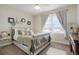 Cozy bedroom with a large window, neutral tones, and decorative accents for a calming and inviting space at 7186 Weaver Cir, Castle Rock, CO 80104