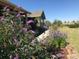 Landscaped front yard featuring purple flowers and a view of the home's exterior at 7186 Weaver Cir, Castle Rock, CO 80104