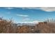 Scenic view of mountains and city buildings, with a partial view of trees in the foreground at 8 S Colorado Blvd, Denver, CO 80246