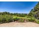 Expansive backyard with a well-maintained lawn and beautiful mountain views at 18680 Knollwood Blvd, Monument, CO 80132