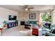 Cozy living room with fireplace, built-in shelving, and comfortable seating at 3448 Ghost Dance Dr, Castle Rock, CO 80108