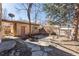 Spacious backyard featuring a well-maintained patio, mature trees, and a wooden fence at 1965 Jasmine St, Denver, CO 80220