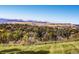 Scenic community view of green trees and distant mountains at 2310 Willow Creek Dr, Golden, CO 80401