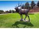 Sculpted elk statue on lush lawn adds a unique artistic touch to the landscaped front yard at 2310 Willow Creek Dr, Golden, CO 80401