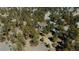 Secluded home with expansive windows surrounded by towering pine trees on a large wooded lot at 5184 Pinyon Jay Rd, Parker, CO 80134