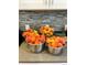 Fresh peaches in bowls on a kitchen counter at 2645 Jasmine St, Denver, CO 80207