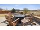 Backyard patio features a round firepit with Adirondack chairs, creating a cozy outdoor gathering space at 11426 Box Turtle Ct, Parker, CO 80134