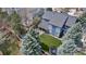 Aerial view of the backyard with a patio, trampoline, and mature trees at 10046 Brisbane Ln, Highlands Ranch, CO 80130