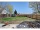 Large backyard with a shed and wooden fence, ideal for outdoor activities and storage space at 1601 Robb St, Lakewood, CO 80215