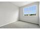 Bright bedroom with neutral carpet and a large window, providing ample natural light with neighborhood views at 8489 Canyon Rim Cir # 302, Englewood, CO 80112
