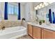 Bathroom features a soaking tub, double vanity with wood cabinets, and a large window at 4385 Oakes Mill Ct, Castle Rock, CO 80109
