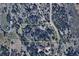 Expansive property outlined, featuring a private estate surrounded by lush trees and natural landscape at 9001 Eastridge Rd, Golden, CO 80403