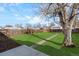 Large backyard with grassy area, mature tree, and wood fence at 1932 Lansing St, Aurora, CO 80010