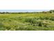 This is a large open plot of land with lush green vegetation at 4664 S Union St, Morrison, CO 80465