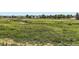 Expansive, open field with lush grasses and scattered shrubbery and trees in the distance at 3210 S Espana Cir, Aurora, CO 80013