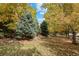 Shaded backyard featuring evergreens and colorful deciduous trees at 15904 W 58Th Ave, Golden, CO 80403