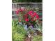 Vibrant garden scene featuring a wooden fence backdrop, lush green plants and red and blue flowering bushes at 6964 S Olive Way, Centennial, CO 80112