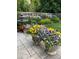 Charming garden featuring potted pansies, a water fountain, and various flowering plants against a backdrop of lush greenery at 6964 S Olive Way, Centennial, CO 80112