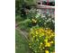 Beautiful flower garden with vibrant yellow daisies, white flowers, and lush greenery creating a serene backyard oasis at 6964 S Olive Way, Centennial, CO 80112