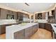 Modern kitchen with a large island, custom cabinetry and stainless steel appliances at 9468 E Aspen Hill Ln, Lone Tree, CO 80124