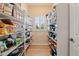 Walk-in pantry features storage shelves filled with food, and a window with plantation shutters at 9468 E Aspen Hill Ln, Lone Tree, CO 80124