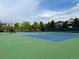 Well-maintained community tennis courts in a neighborhood setting, perfect for recreational play at 9468 E Aspen Hill Ln, Lone Tree, CO 80124
