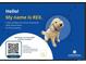 Real estate advertisement featuring a dog named REX with property HOA information at 1661 S Fulton St, Aurora, CO 80247