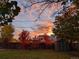 Backyard with colorful trees, a shed, and a privacy fence, creating a cozy and secluded outdoor area at 3326 S Geneva St, Denver, CO 80231