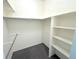 Walk-in closet with custom storage and carpet at 4760 S Wadsworth Blvd # F105, Littleton, CO 80123